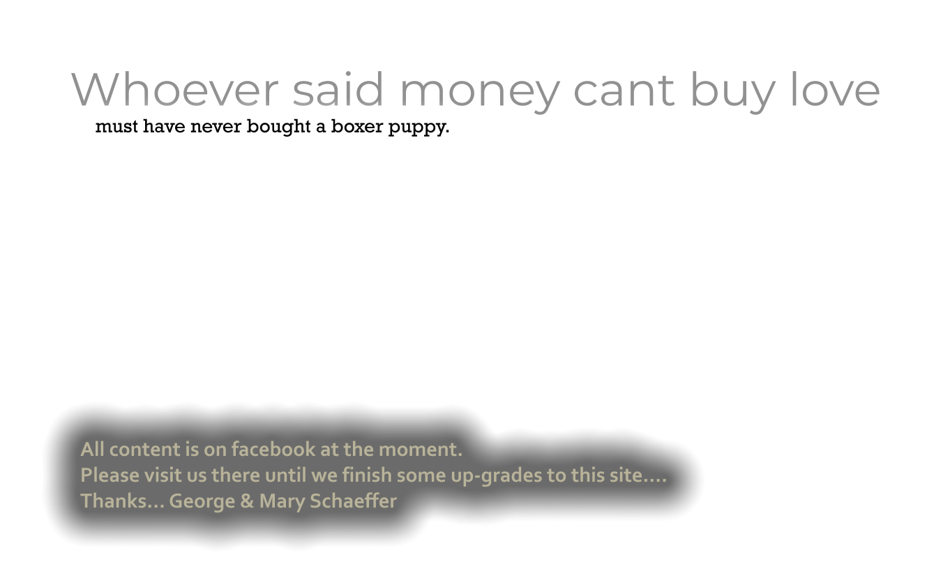 Whoever said money cant buy love     must have never bought a boxer puppy. All content is on facebook at the moment. Please visit us there until we finish some up-grades to this site…. Thanks… George & Mary Schaeffer